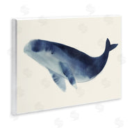 Lily K. | Gentle Giant Whale