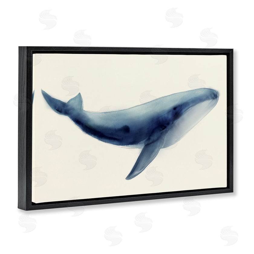 Lily K. | Soft Gentle Giant Whale