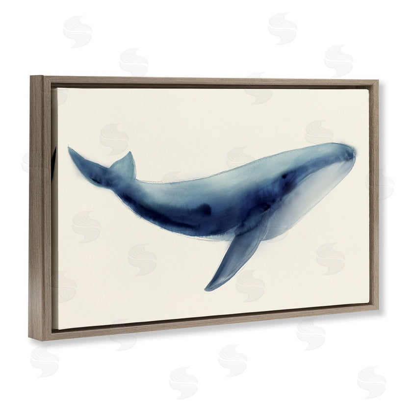 Lily K. | Soft Gentle Giant Whale