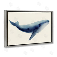 Lily K. | Soft Gentle Giant Whale