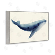 Lily K. | Soft Gentle Giant Whale