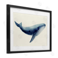 Lily K. | Soft Gentle Giant Whale