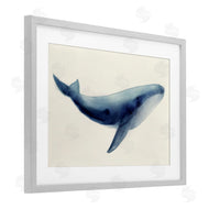 Lily K. | Soft Gentle Giant Whale