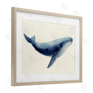 Lily K. | Soft Gentle Giant Whale