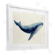 Lily K. | Soft Gentle Giant Whale