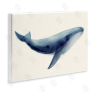 Lily K. | Soft Gentle Giant Whale