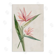 Hannah Dawson | Tropical Grace Birds of Paradise