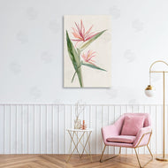 Hannah Dawson | Tropical Grace Birds of Paradise