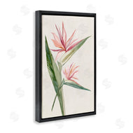 Hannah Dawson | Tropical Grace Birds of Paradise