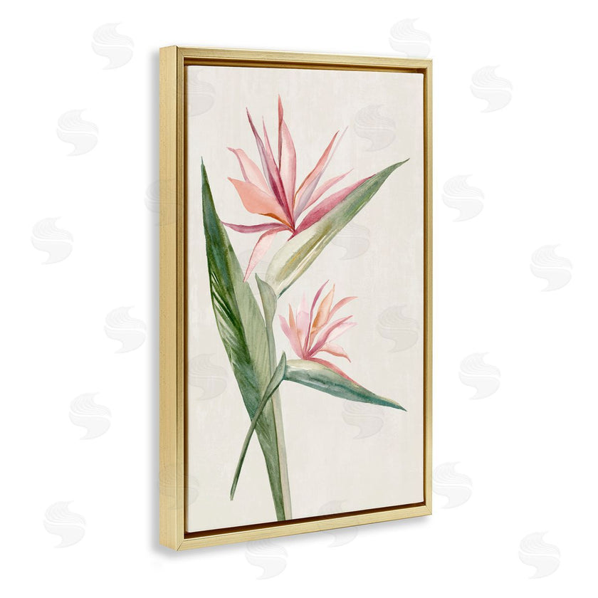 Hannah Dawson | Tropical Grace Birds of Paradise