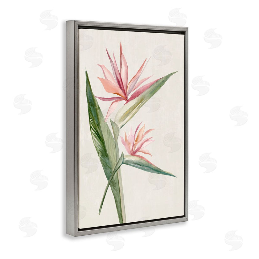 Hannah Dawson | Tropical Grace Birds of Paradise