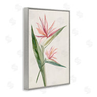 Hannah Dawson | Tropical Grace Birds of Paradise