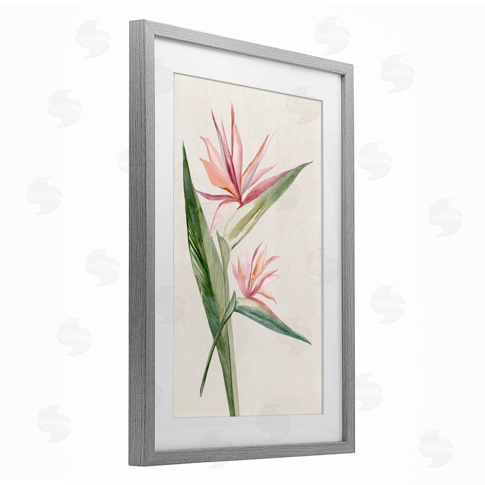 Hannah Dawson Tropical Grace Birds of Paradise Gray Framed Print Under Glass Art