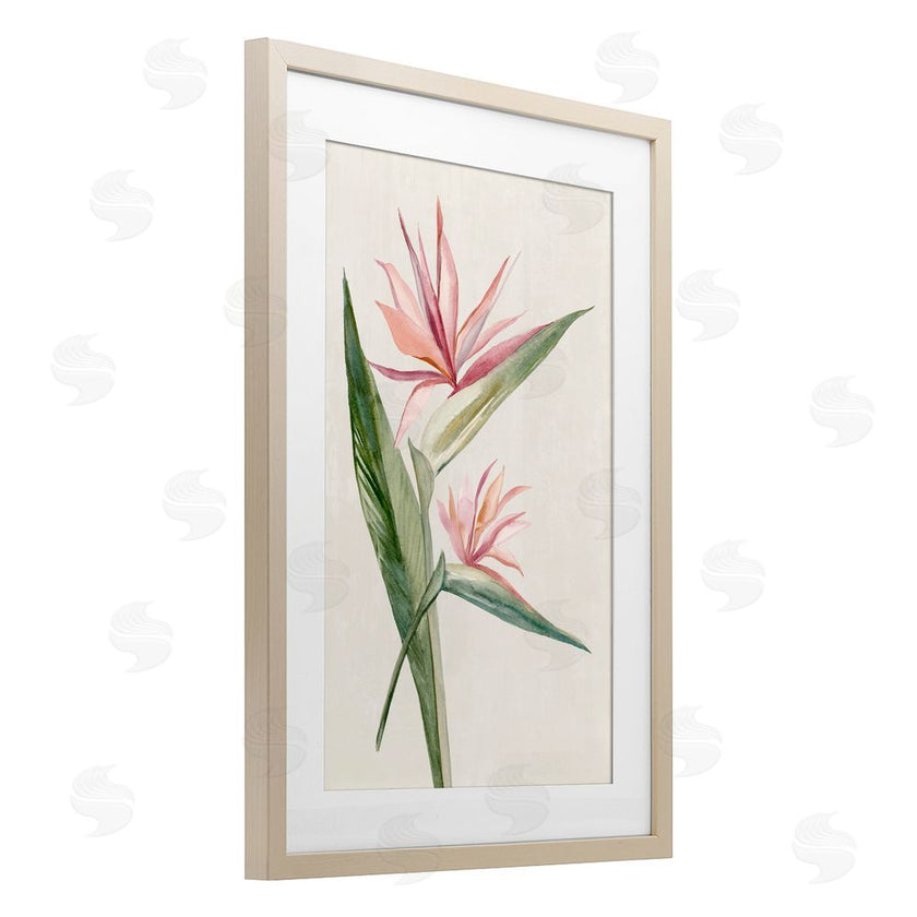 Hannah Dawson | Tropical Grace Birds of Paradise