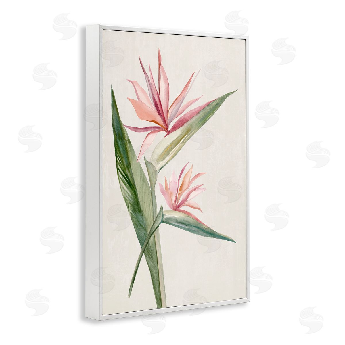 Hannah Dawson Tropical Grace Birds of Paradise White Frame Giclee Art Print