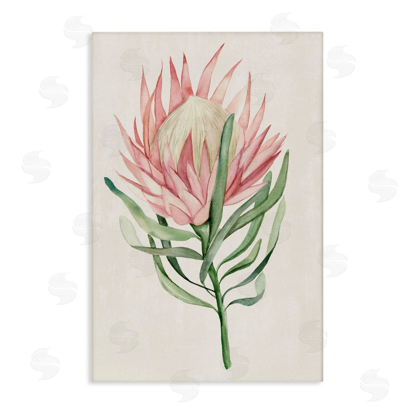 Hannah Dawson | Tropical Grace Exotic Flower