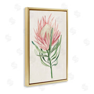 Hannah Dawson | Tropical Grace Exotic Flower