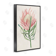 Hannah Dawson | Tropical Grace Exotic Flower