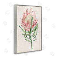 Hannah Dawson | Tropical Grace Exotic Flower