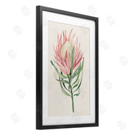 Hannah Dawson | Tropical Grace Exotic Flower