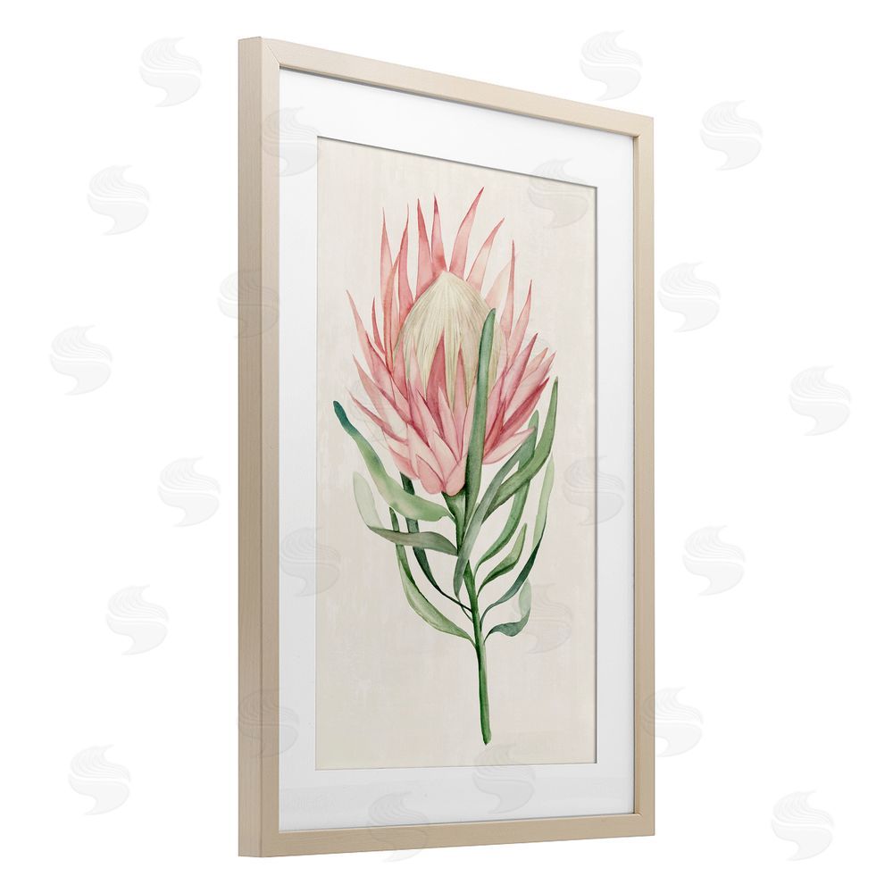Hannah Dawson Tropical Grace Exotic Flower Birch Framed Print Under Glass Art