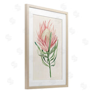 Hannah Dawson | Tropical Grace Exotic Flower