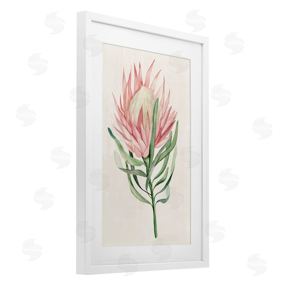 Hannah Dawson Tropical Grace Exotic Flower White Framed Print Under Glass Art