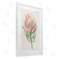 Hannah Dawson | Tropical Grace Exotic Flower