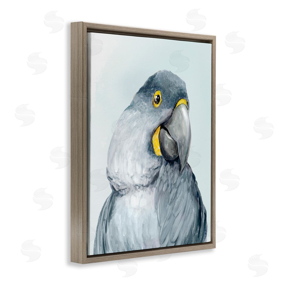 Hannah Dawson Vivid Plumage Parrot Brown Floating Frame Canvas Art Print