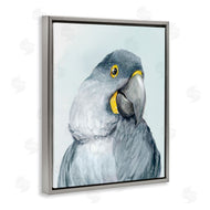 Hannah Dawson | Vivid Plumage Parrot
