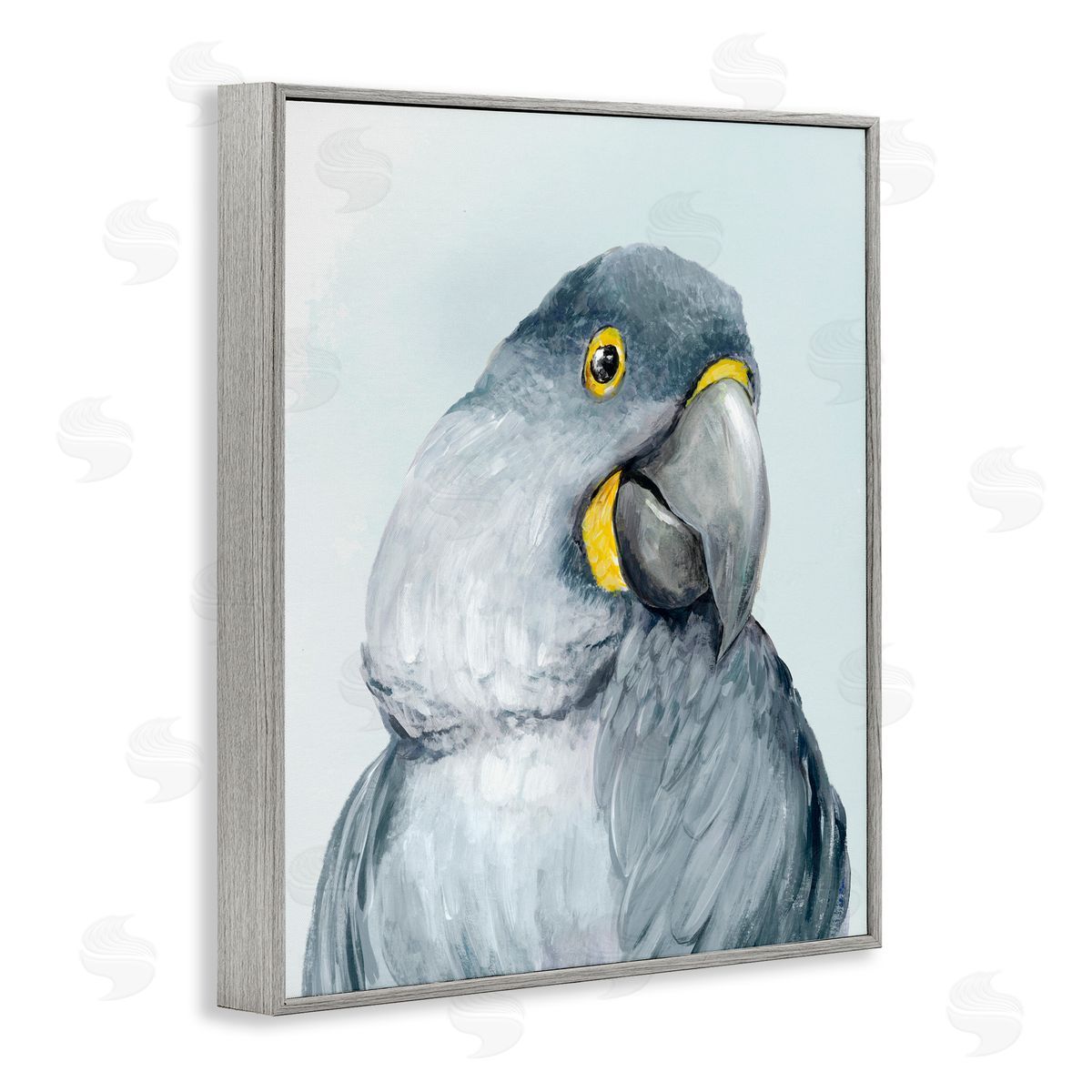 Hannah Dawson Vivid Plumage Parrot Gray Framed Giclee Art Print