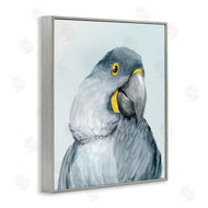 Hannah Dawson | Vivid Plumage Parrot