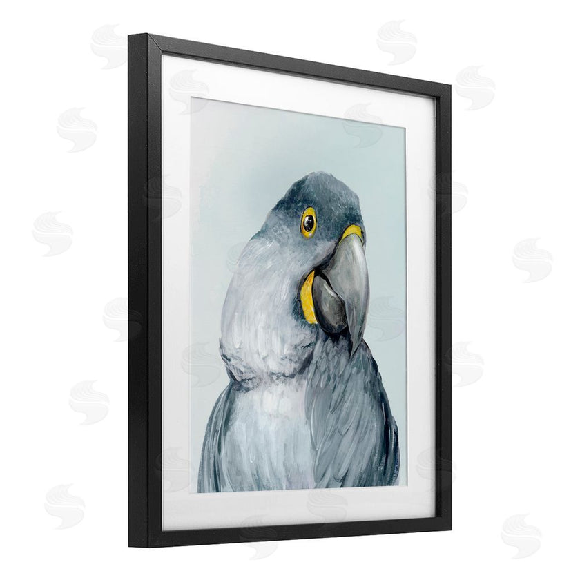 Hannah Dawson | Vivid Plumage Parrot