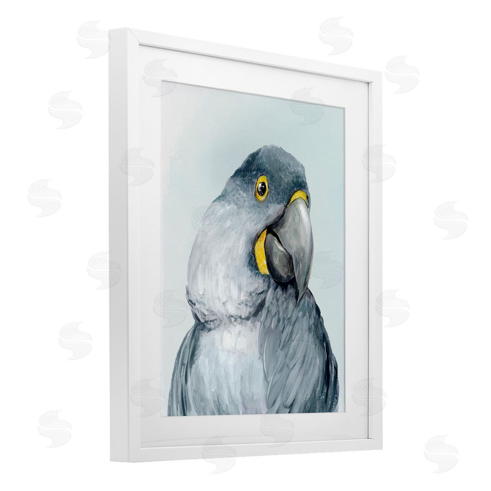 Hannah Dawson Vivid Plumage Parrot White Framed Print Under Glass Art