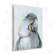 Hannah Dawson | Vivid Plumage Parrot