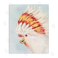 Hannah Dawson | Vivid Plumage Cockatoo