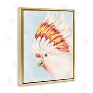 Hannah Dawson | Vivid Plumage Cockatoo