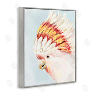 Hannah Dawson | Vivid Plumage Cockatoo