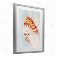 Hannah Dawson | Vivid Plumage Cockatoo