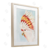 Hannah Dawson | Vivid Plumage Cockatoo