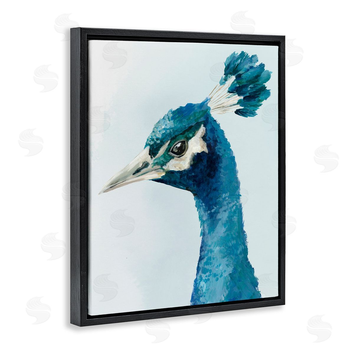 Hannah Dawson Vivid Plumage Peacock Black Floating Frame Canvas Wall Art Print