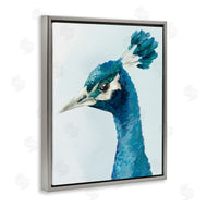 Hannah Dawson | Vivid Plumage Peacock