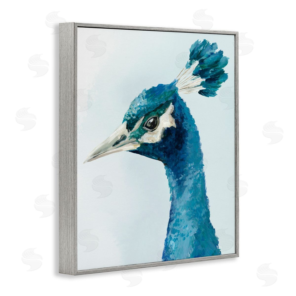 Hannah Dawson Vivid Plumage Peacock Gray Framed Giclee Art Print