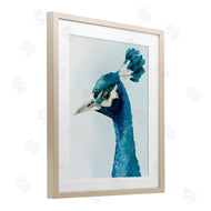 Hannah Dawson | Vivid Plumage Peacock