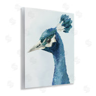 Hannah Dawson | Vivid Plumage Peacock