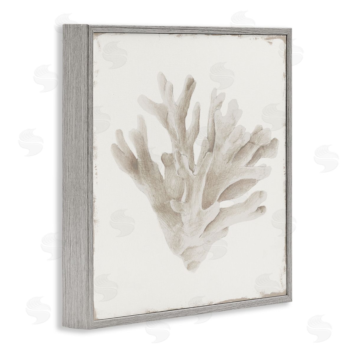 Lily K. Sandy Coral Drift Canvas Wall Art Print