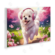 Image World | Happy Puppy On A Walk