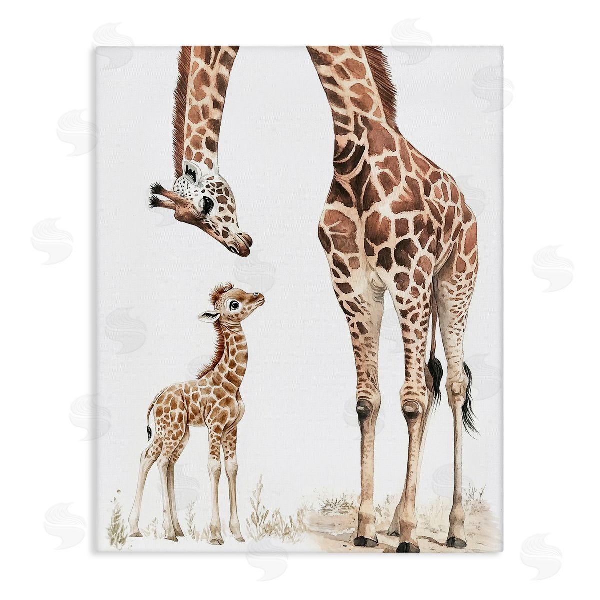 Ramona Murdock Baby Giraffe Calf Canvas Wall Art Print