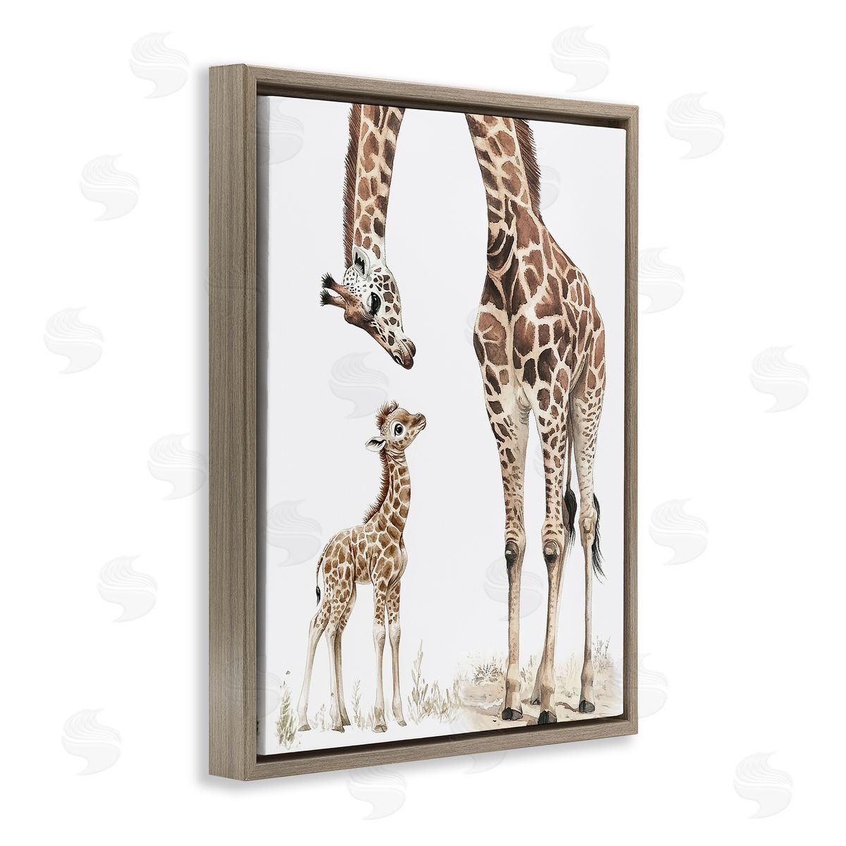 Ramona Murdock Baby Giraffe Calf Canvas Wall Art Print