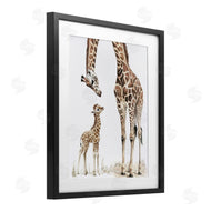 Ramona Murdock | Baby Giraffe Calf